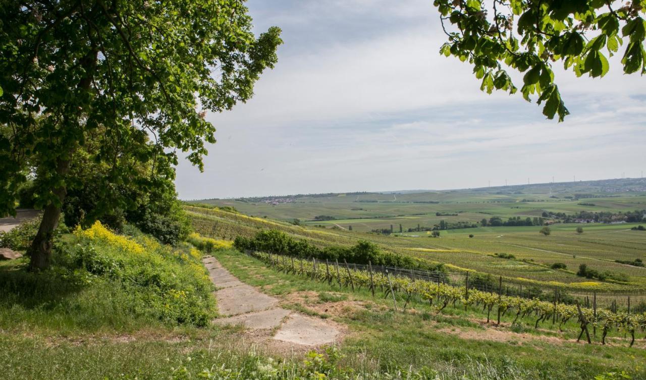 Hofgut Wissberg - Das Weinberghotel Sankt Johann  ภายนอก รูปภาพ