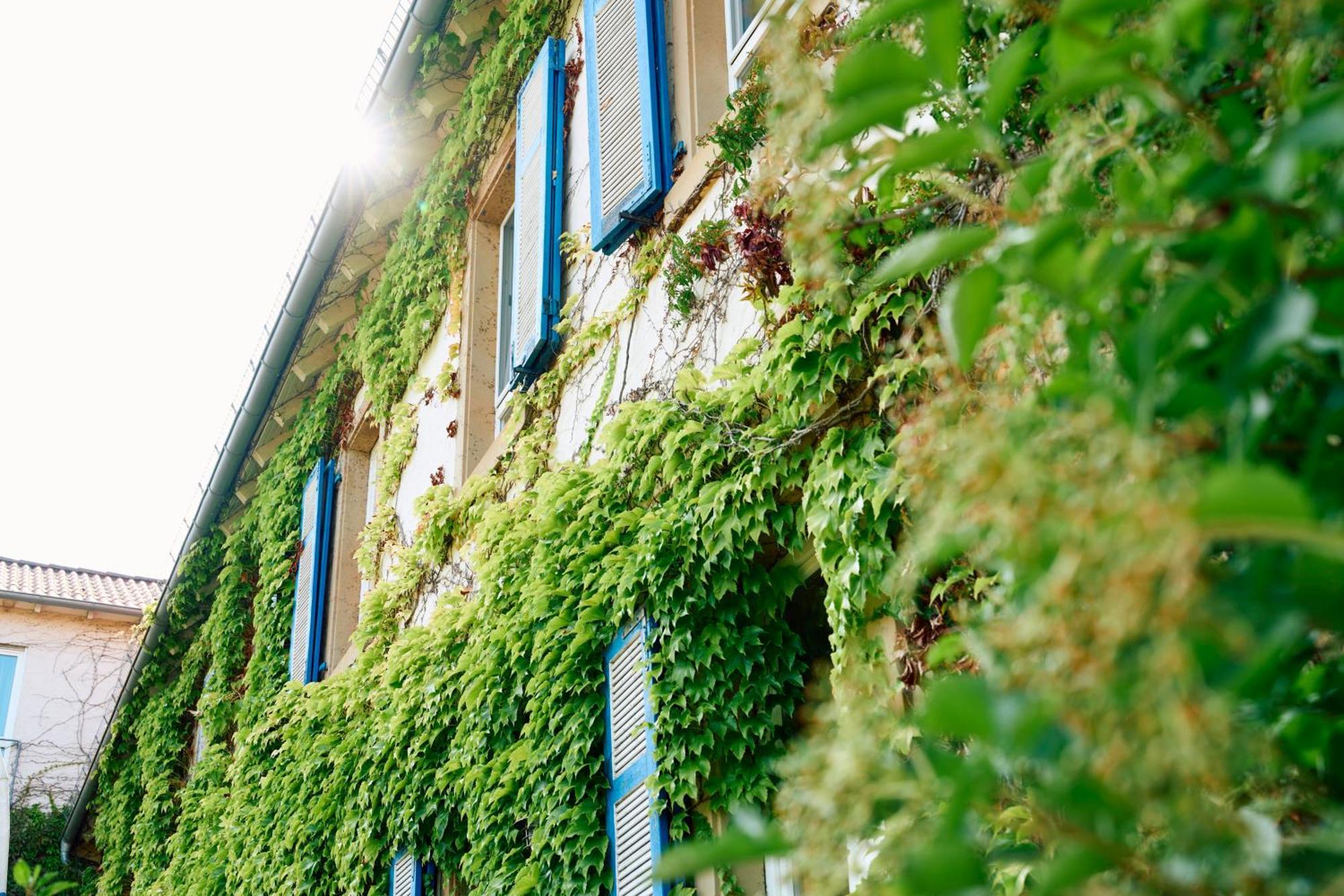 Hofgut Wissberg - Das Weinberghotel Sankt Johann  ภายนอก รูปภาพ